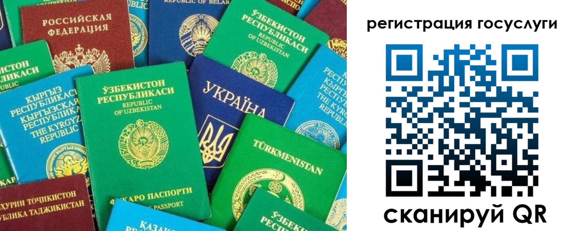 временная регистрация купить в Димитровграде